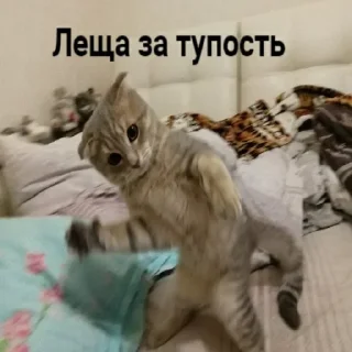 🤚