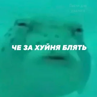 😑