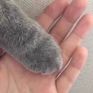👌