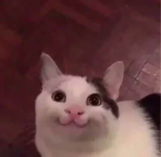 ☺️