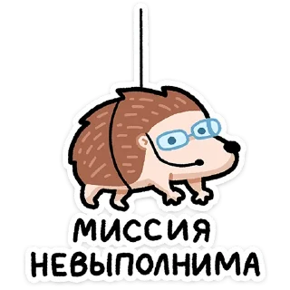 🤿