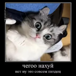 😱