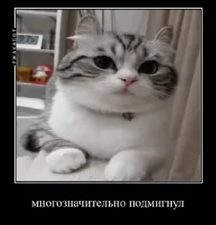 😉