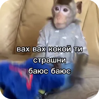 🌟