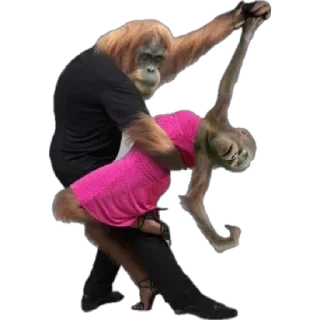 💃