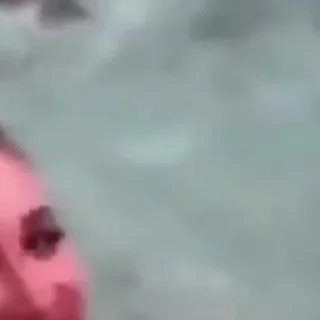 😂