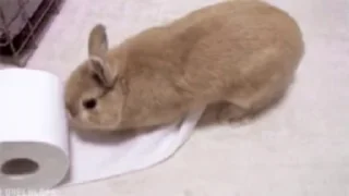🥰