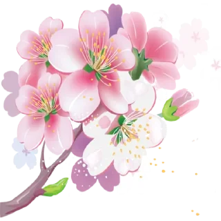 🌸