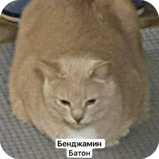🫥