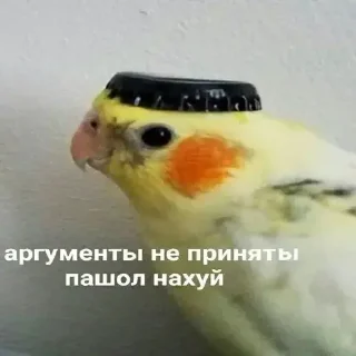 👎