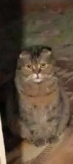 😓