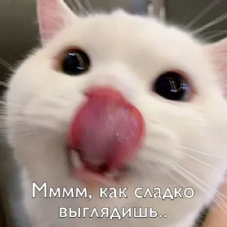 😋