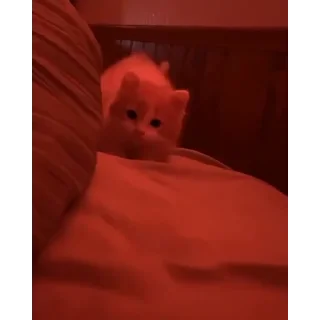 😘