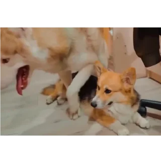 👍