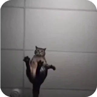 🤩