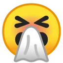 🤧