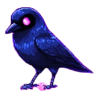 🐦‍⬛️