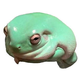 🐸