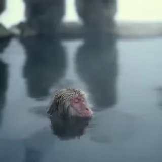 😐