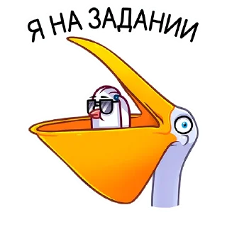 😎