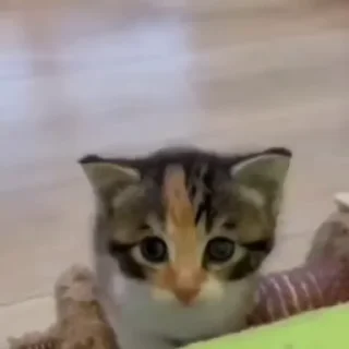 😍