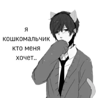 😿