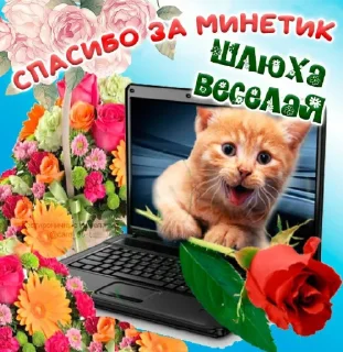 Открытки by @GIFSTIKI