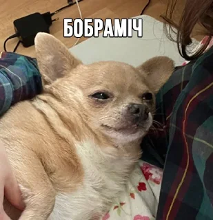 🛌