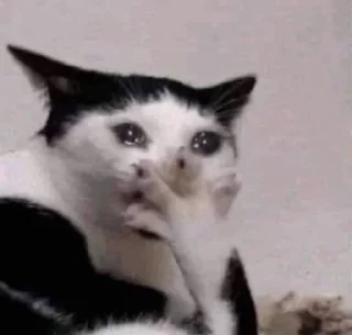 🫢