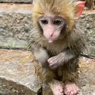 🥹