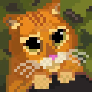 😿