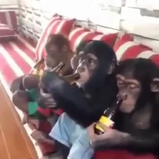 🍻