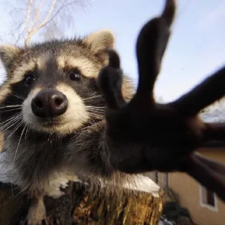 🖐