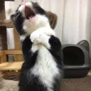 😱