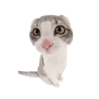 💕
