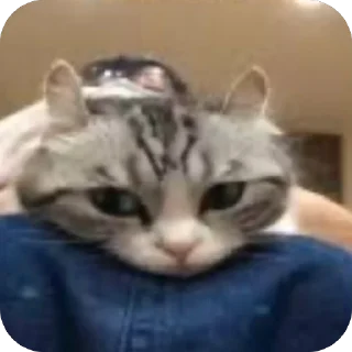 🫥