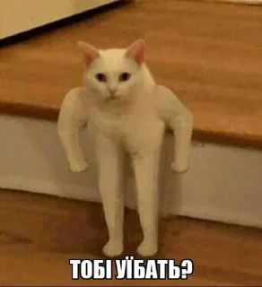 👊