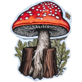 🍄