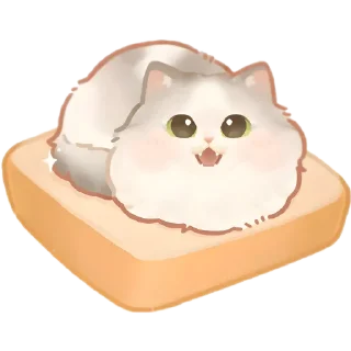🥪