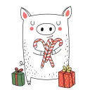 🐷