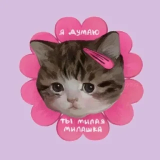 мяввв