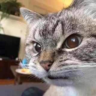 👍