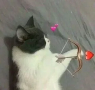 👼