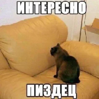 стикерная каша🥯 @amare_shit