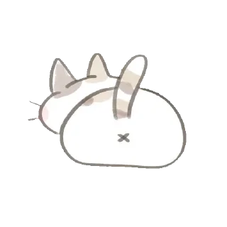 🐾