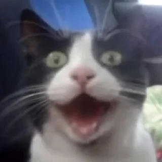 😃