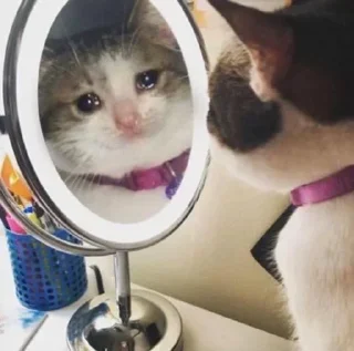 😒