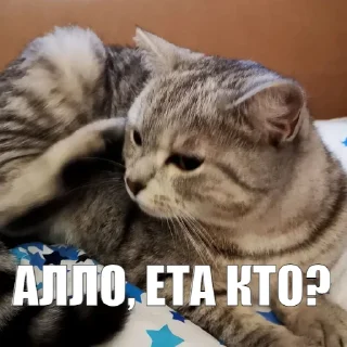 📞