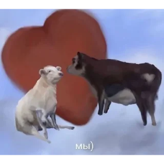 💖