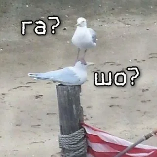 ❔
